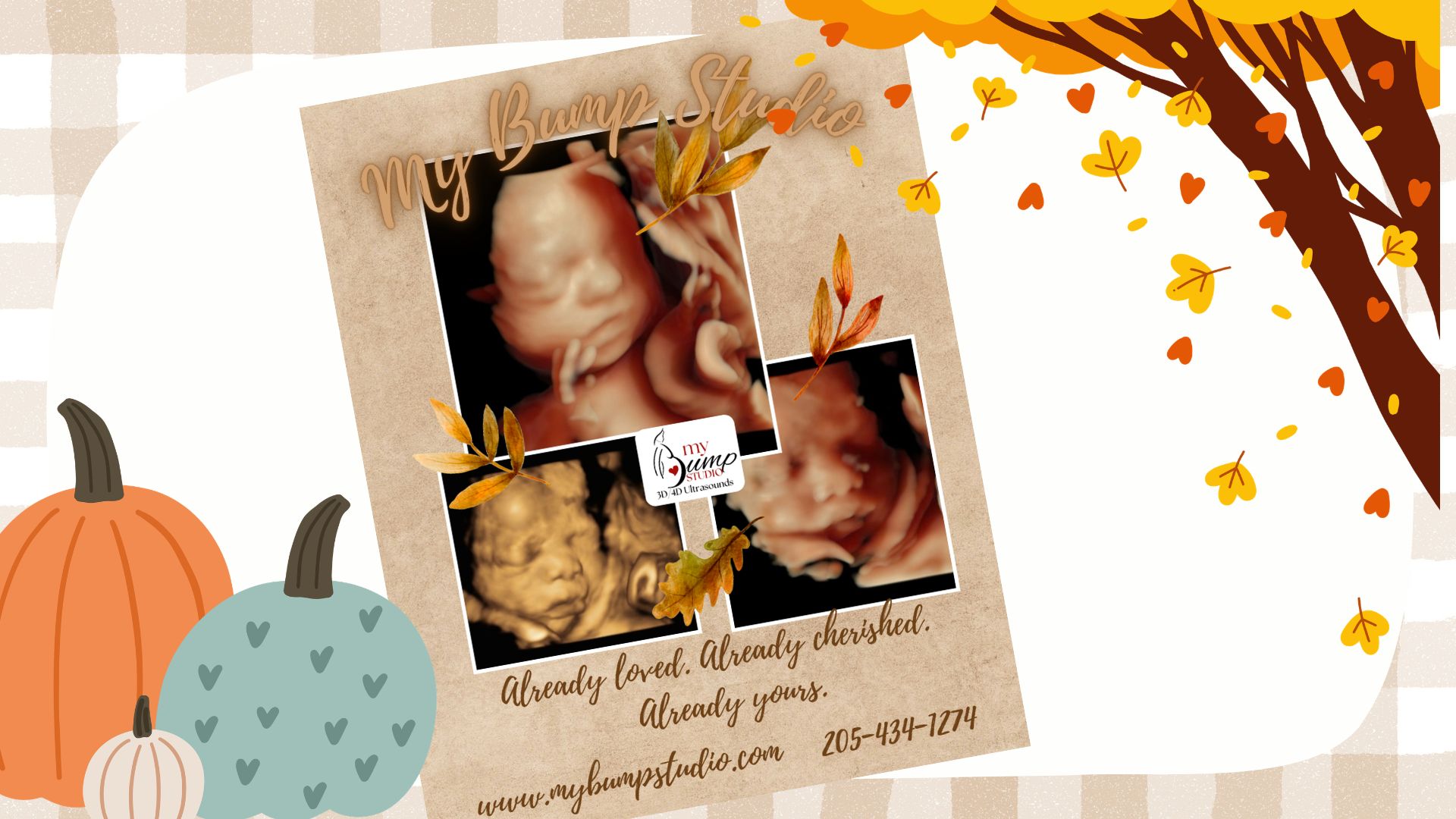 Fall baby ultrasound session My Bump Studio Birmingham